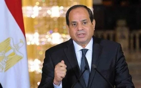 الرئيس السيسي يسلط الضوء على ضرورة استثمار موارد المحافظات لخدمة المصلحة العامة