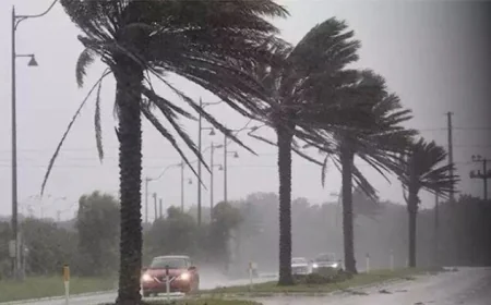 انخفاض ملحوظ في درجات الحرارة 6 درجات توقعات الأرصاد الجوية لحالة الطقس غدا الثلاثاء 17 فبراير 2026