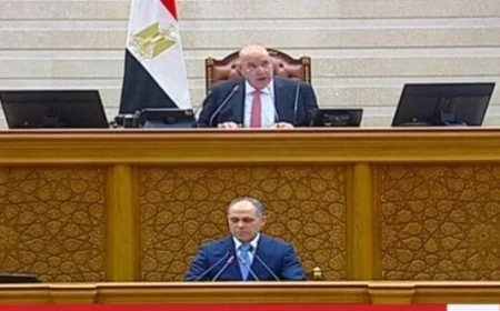 انعقاد الجلسة العامة لـ النواب لمناقشة أبرز التعديلات على قانون سجل المستوردين