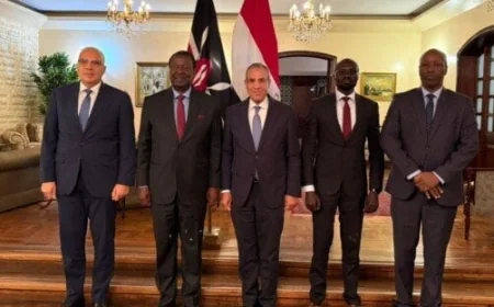 مصر وكينيا تعززان التعاون في إدارة الموارد المائية وتعميق الشراكة الاقتصادية بينهما