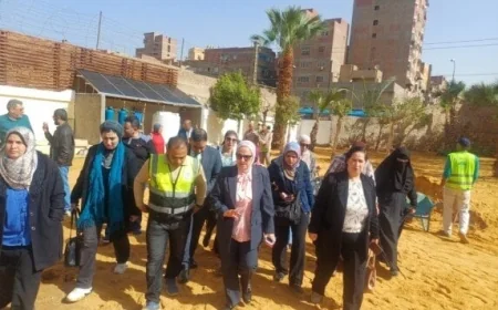 تعليم القاهرة يدعم التنمية المستدامة من خلال إطلاق مشروع المدارس الخضراء في المعادي