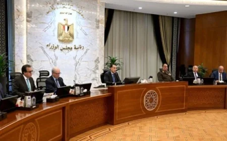 مدبولي يؤكد التزام الحكومة بتلبية احتياجات القطاعات الإنتاجية والخدمية من الطاقة