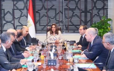وزيرة التنمية المحلية تكشف عن خطط لتحويل المخلفات الحيوانية والزراعية إلى غاز حيوي وكهرباء