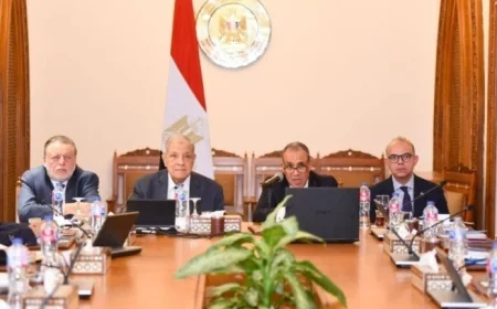 وزير الخارجية يطلق الاجتماع الأول لمجلس أمناء الوكالة المصرية للشراكة من أجل التنمية