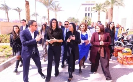 التضامن تعلن عن خطوة جوهرية نحو الاستقلال الاقتصادي بعد مرحلة الحماية والرعاية