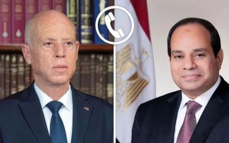 الرئيس السيسي والرئيس التونسي يعززان التعاون المشترك في اتصال هاتفي важная