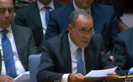 وزير الخارجية المصري يؤكد التزام بلاده الثابت بالقضية الفلسطينية