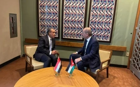 وزير خارجية مصر والأردن يشددان على أهمية استمرار تدفق المساعدات الإنسانية إلى غزة