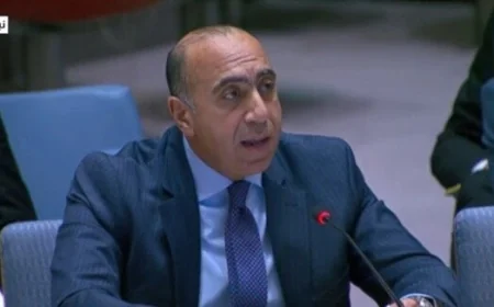 مندوب مصر في مجلس الأمن يصف دعم الميليشيات المسلحة في السودان كجريمة حرب