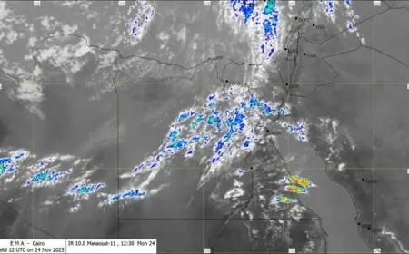 تعرف على توقعات الطقس القادمة برودة وأمطار ورياح وفقاً للأرصاد الجوية