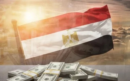 محافظ المركزي يكشف للرئيس السيسي عن ارتفاع الاحتياطي الأجنبي إلى 52.6 مليار دولار