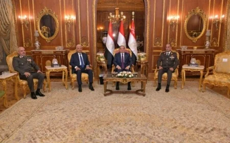 الرئيس السيسي يؤكد على أهميته تلاحم مؤسسات الوطن وإخلاص القادة في تعزيز مكانة مصر