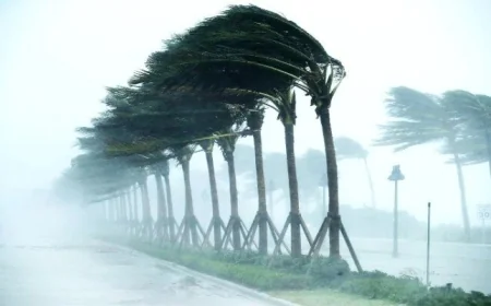 الأرصاد تكشف عن درجات الحرارة المتوقعة وحالة الطقس للجمهور الاثنين 23 فبراير 2026