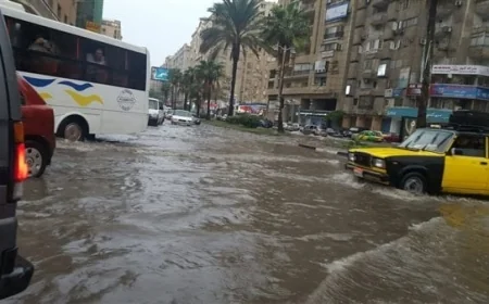 توقعات الطقس في الإسكندرية اليوم الاثنين مع تفاصيل أماكن هطول الأمطار
