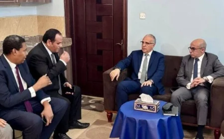 وزير الري يؤكد أن مشاريع جنوب السودان تدعم جهود مصر في تعزيز التنمية بدول حوض النيل