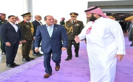 الرئيس السيسي يعود إلى مصر بعد انتهاء زيارته الناجحة إلى السعودية