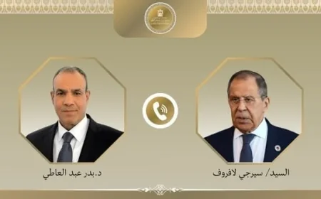 مصر وروسيا تتفاوضان بشأن التطورات الإقليمية وطرق تقليل التوترات في المنطقة