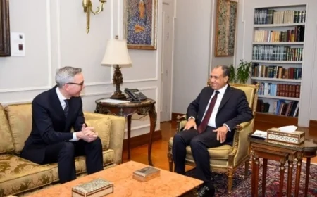 وزير الخارجية يناقش مع شركة سكاتك النرويجية زيادة الاستثمارات في مشاريع الطاقة المتجددة والهيدروجين الأخضر