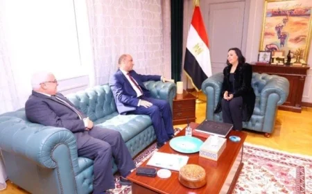 وزيرة التضامن تبرز أهمية تسهيل إجراءات التأمين الاجتماعي للعمالة غير المنتظمة