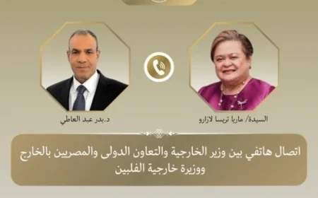 وزير الخارجية يعلن عن خطط لإنشاء مجلس أعمال مشترك بين مصر والفلبين
