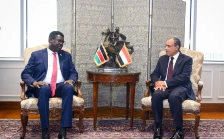 وزير الخارجية المصري يعبر عن التزام القاهرة الثابت بدعم جهود الأمن والاستقرار في جنوب السودان