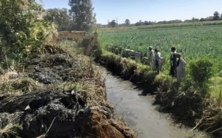 الزراعة تعزز جهود تطهير المساقي في الأقصر مع انطلاق موسم حصاد قصب السكر