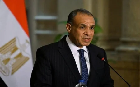 وزير الخارجية يؤكد دعم مصر القوي للجهود الدبلوماسية لحل القضايا العالقة