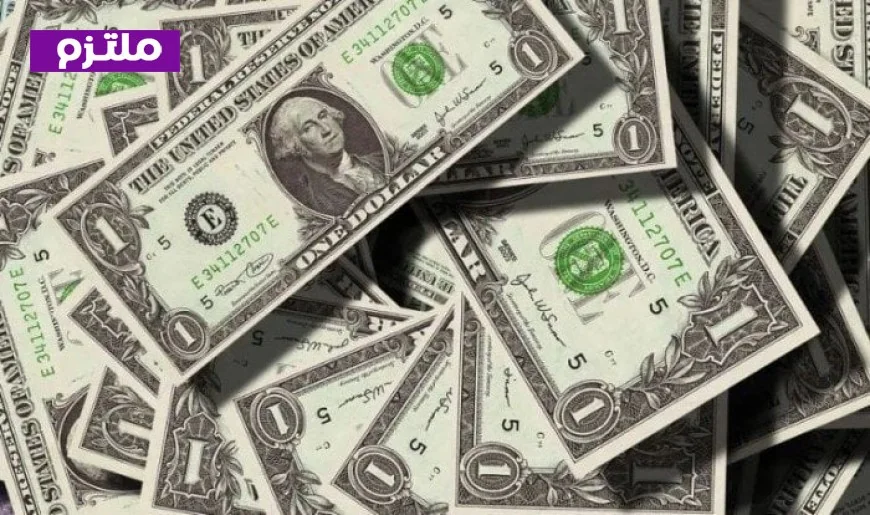 سعر الدولار في مصر اليوم الثلاثاء 10 فبراير 2026 تحديثات يومية لأسعار صرف الدولار