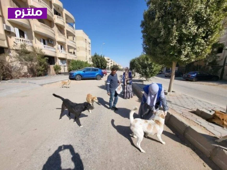 تحصين 8254 كلب وتعقيم 1122 ضمن حملة مكثفة لمكافحة السعار منذ يناير حسب وزارة الزراعة