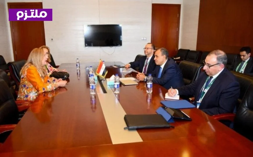 وزير الخارجية يشدد على دور القطاع الخاص في دفع التنمية المستدامة في أفريقيا