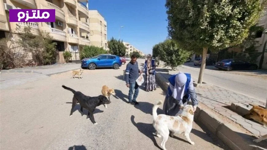 تحصين أكثر من 12 ألف كلب وتعقيم 1593 خلال حملة مكافحة السعار منذ بداية العام