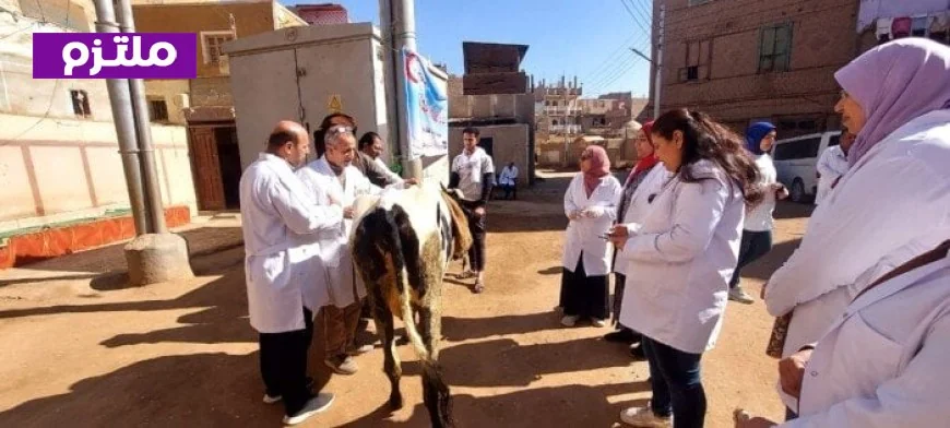 الزراعة تطلق 241 قافلة بيطرية مجانية لدعم المربين الصغار في 238 قرية خلال يناير