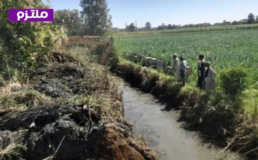 الزراعة تعزز جهود تطهير المساقي في الأقصر مع انطلاق موسم حصاد قصب السكر