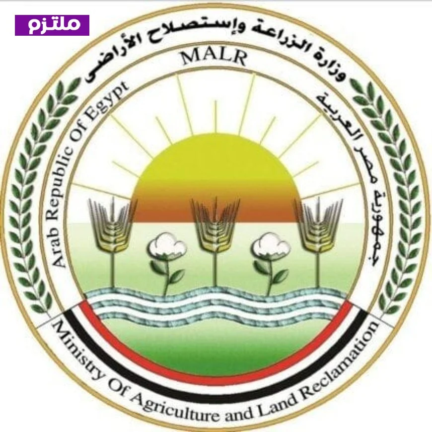 الزراعة تقدم خدمات مجانية ودعما فنيا لمربي الدواجن لزيادة كفاءة الإنتاج