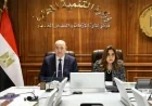متابعة وزيرة التنمية المحلية ومستشار رئيس الجمهورية للموقف التنفيذي لملفات هامة