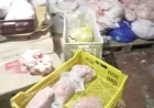 الزراعة تكشف عن ضبط 310 أطنان من اللحوم والمنتجات غير المطابقة للاشتراطات الصحية في فبراير