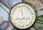 ارتفاع سعر الدرهم الإماراتي مقابل الجنيه المصري اليوم الأحد 8 مارس 2026