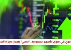 ارتفاع هائل في سوق الأسهم السعودية تاسي يتخطى 11 ألف نقطة بنجاح