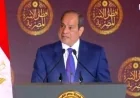 الرئيس السيسي يؤكد أن مصر تعمل بجد لإخماد نيران الحرب حسب وكالة الأنباء اللبنانية