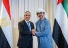 مباحثات مثمرة بين وزير الخارجية المصري ونظيره الإماراتي تعزيزاً لتضامن القاهرة مع أبوظبي