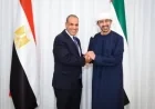عبد العاطي يثني على رزانة القيادة الإماراتية في مواجهة التحديات الصعبة الأخيرة