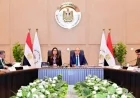 وزير الري يؤكد أهمية استعداد المستثمرين لتقديم مشروعاتهم إلى لجنة تراخيص الشواطئ