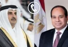 الرئيس السيسي يؤكد لمصر موقفها الراسخ ضد اعتداءات إيران على دول الخليج ويدعو لوقفها الفوري