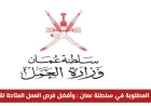استغل وقتك وتعرف على أكثر الوظائف الأعلى دخلاً في سلطنة عمان بحلول 2026