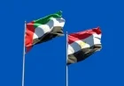 أمين العلاقات الخارجية والمصريين بالإمارات يكشف عن سياسة مصر المتوازنة لحماية مواطنيها في الخارج