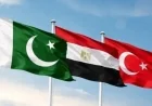 مصر تتصدر الوساطة الثلاثية لدعم الاستقرار في الخليج بتعاون دبلوماسي مع تركيا وباكستان