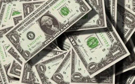 سعر الدولار في مصر اليوم الأحد 1 مارس 2026 تحديثات يومية وأسعار دقيقة