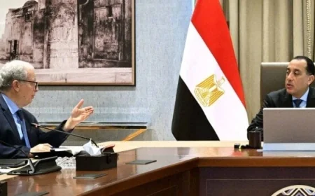 الحكومة تكشف عن موقف الشركات التي ستنقل إلى صندوق مصر السيادي