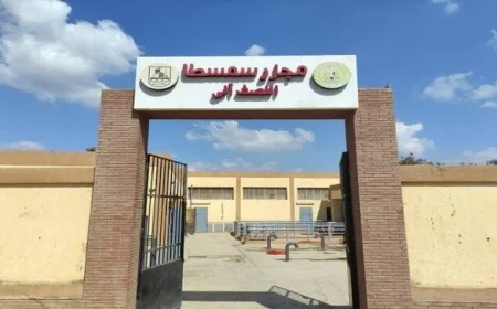 وزيرة التنمية المحلية تكشف عن انطلاق التشغيل التجريبي لمجزر سمسطا في بني سويف