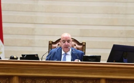 رفع جلسة مجلس النواب العامة إلى 29 مارس 2023